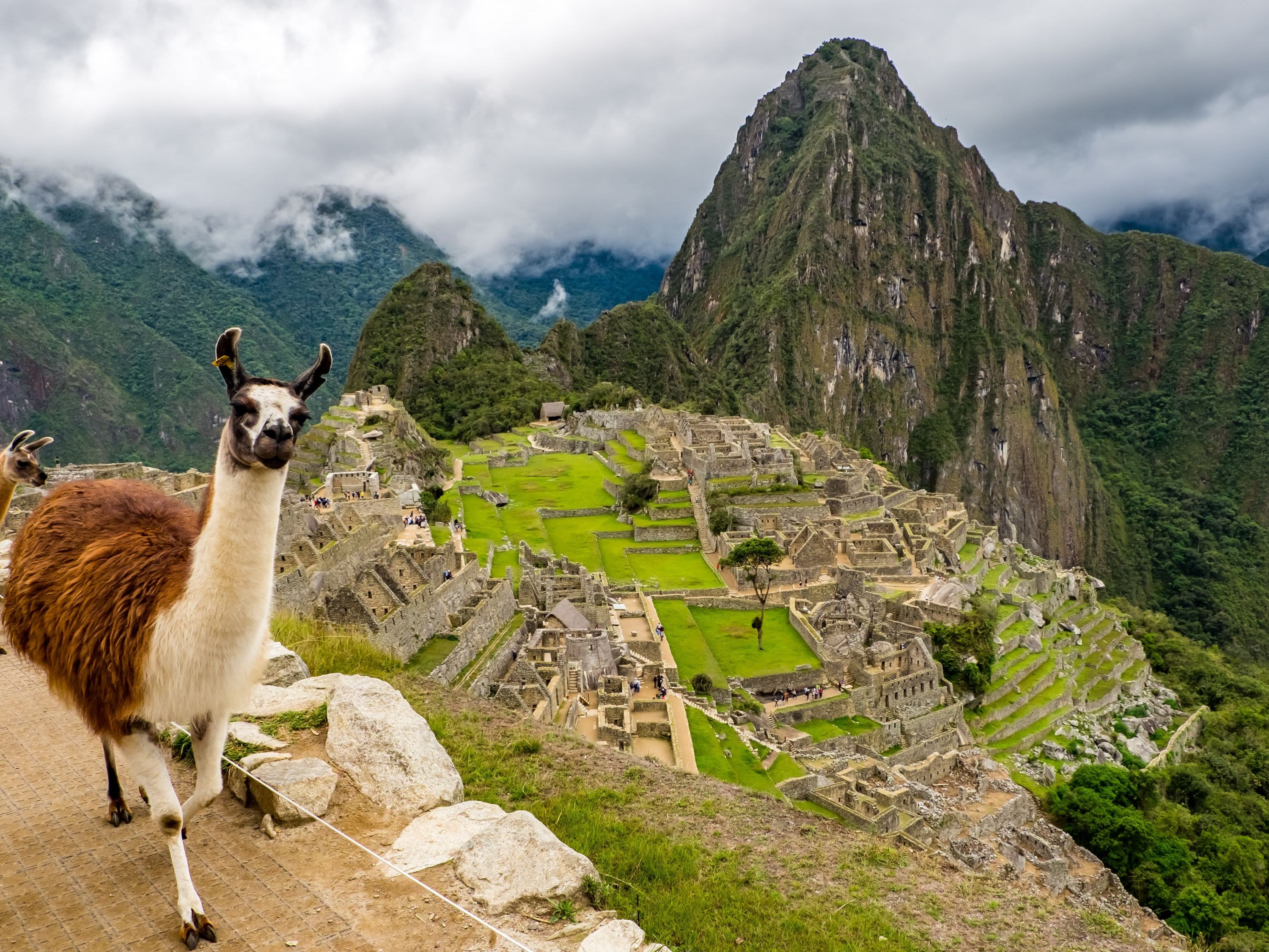 Guided Tour of Machu Picchu and Hike Huayna Picchu. Return Train to Cusco
