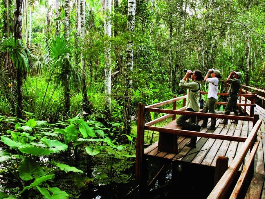 Tambopata National Reserve