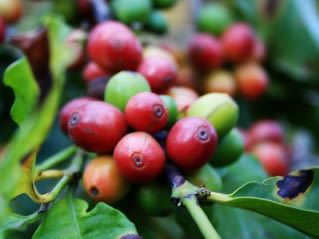 Introduction to Costa Rica