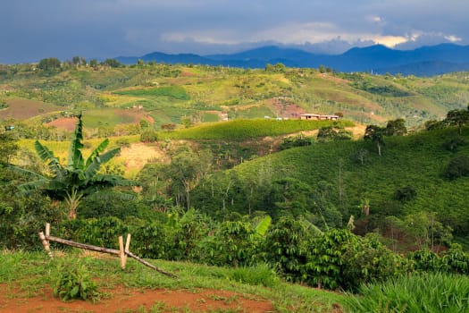 Colombia