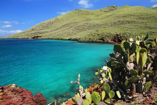 Galapagos: The Mountains and The Sea