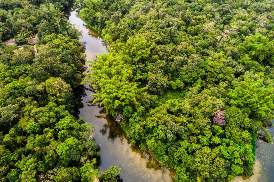 The Best of Brazil Group Adventure