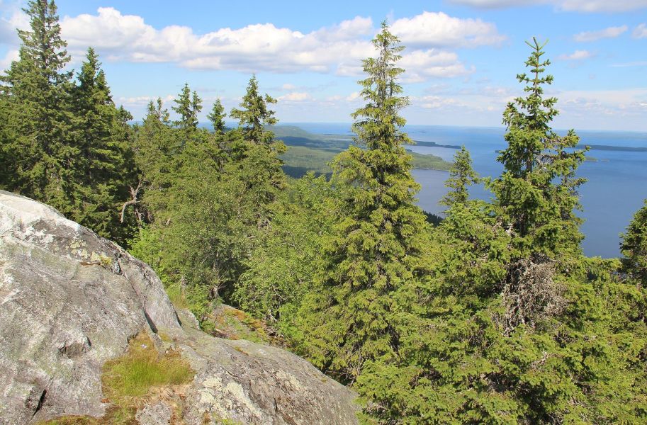 Finland Self-Drive  Discovery