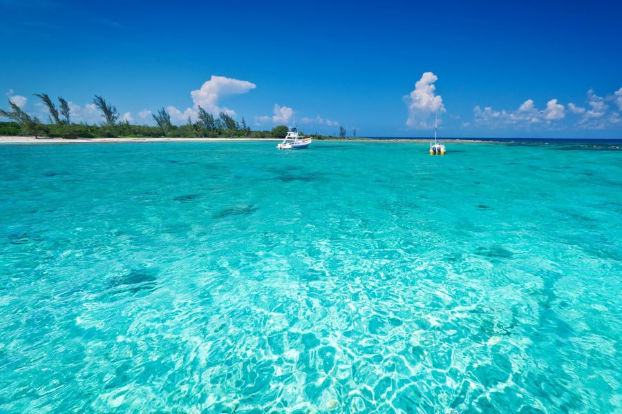 Baja Self Drive: Marine World