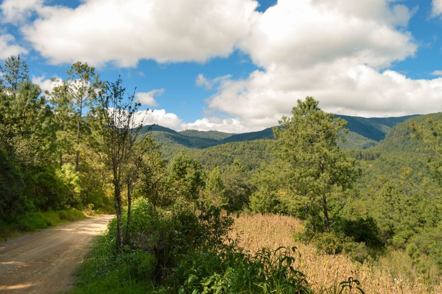 National Parks of Baja California Sur