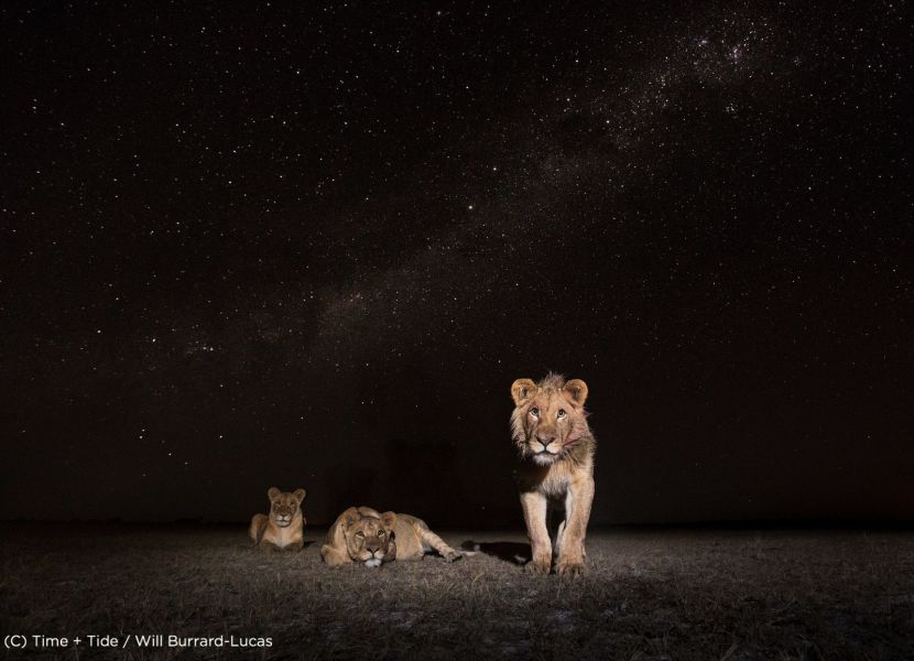 Best of Zambia in Luxury