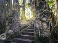 Explore Ubud Town 