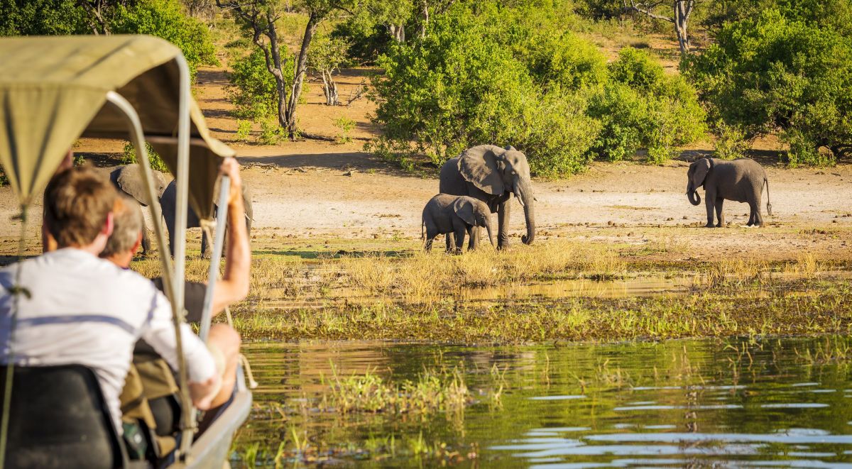 Botswana Safari