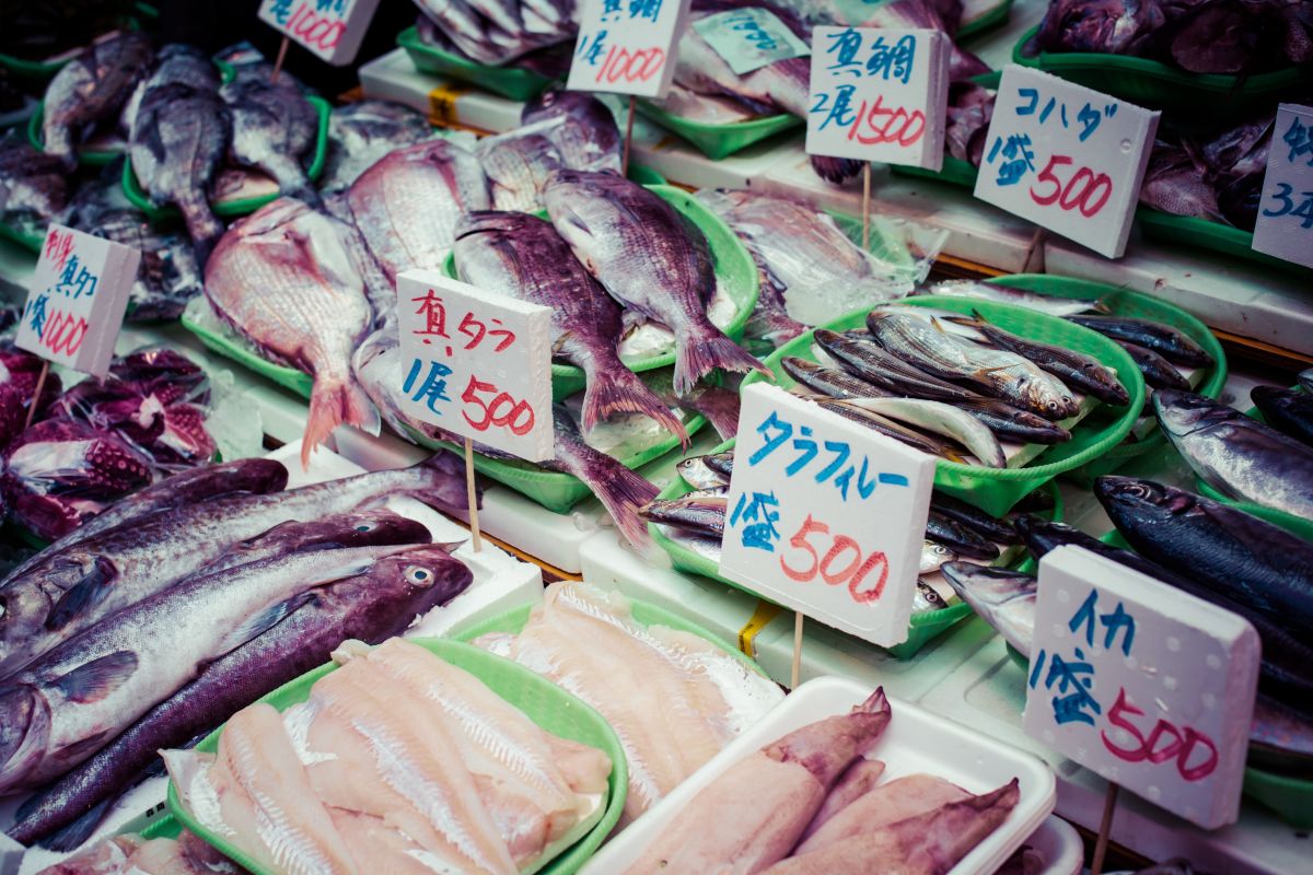 Tsukiji Fish Market 