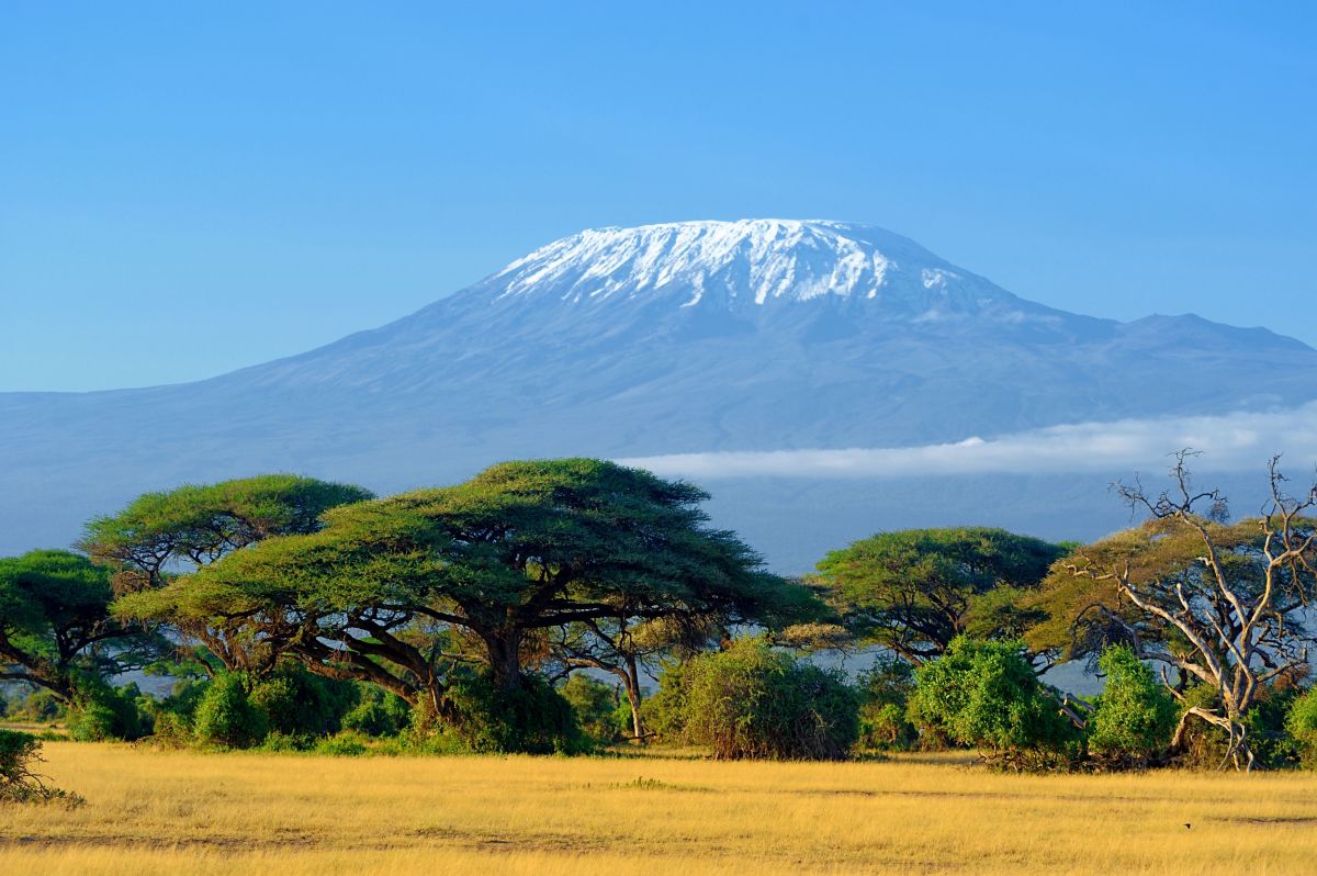 Kilimanjaro Landscape