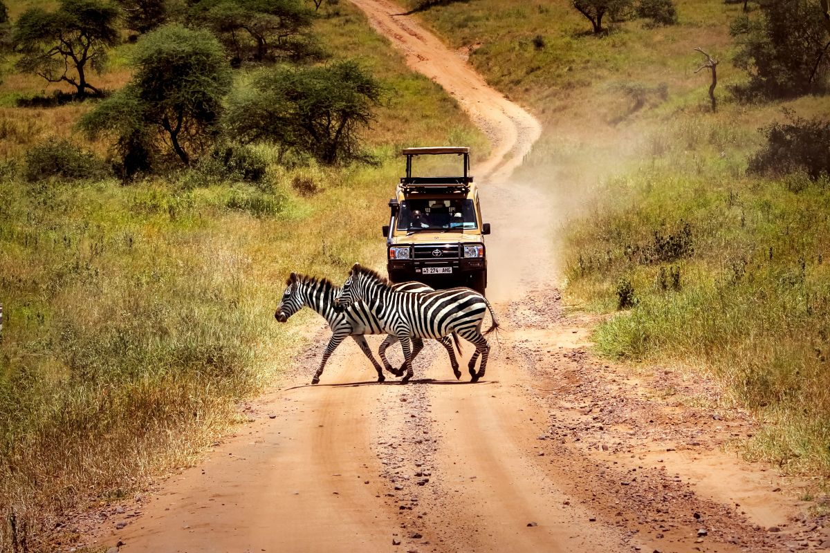 Conserving Tanzania: A luxury venture into the Serengeti