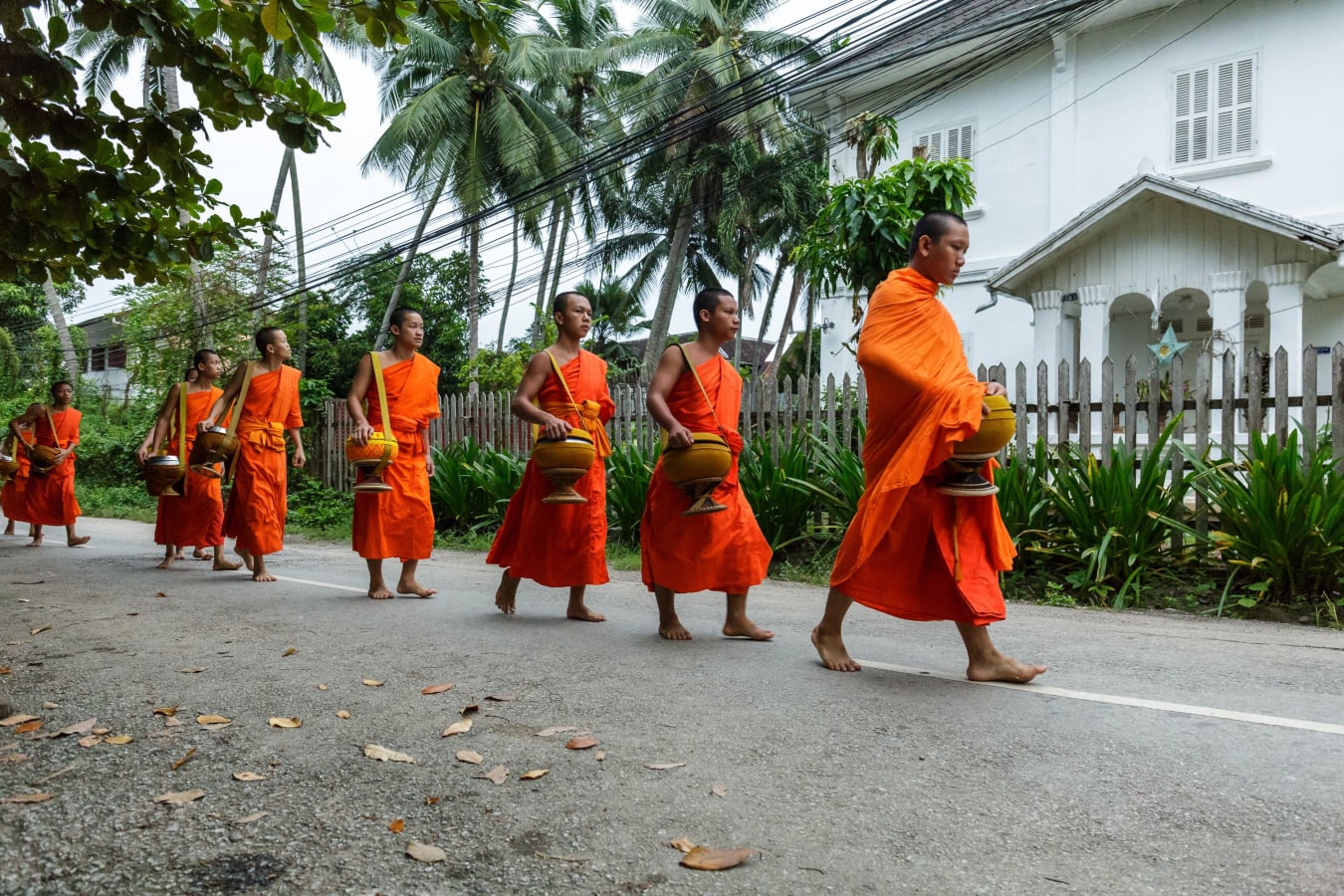 Laos monks walking in line during Sai Bath in Luang Prabang