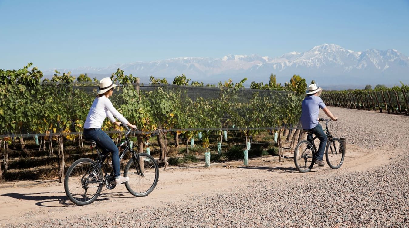 Biking through a vineyard in Mendoza, Argentina's high-altitude wine country