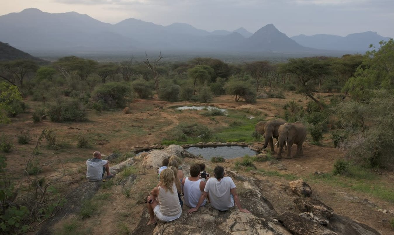 Exclusive Kenyan Wildlife Experience
