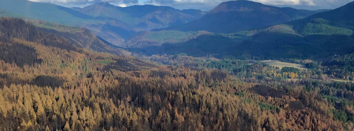 Regenerative Trip - Willamette National Forest Tour