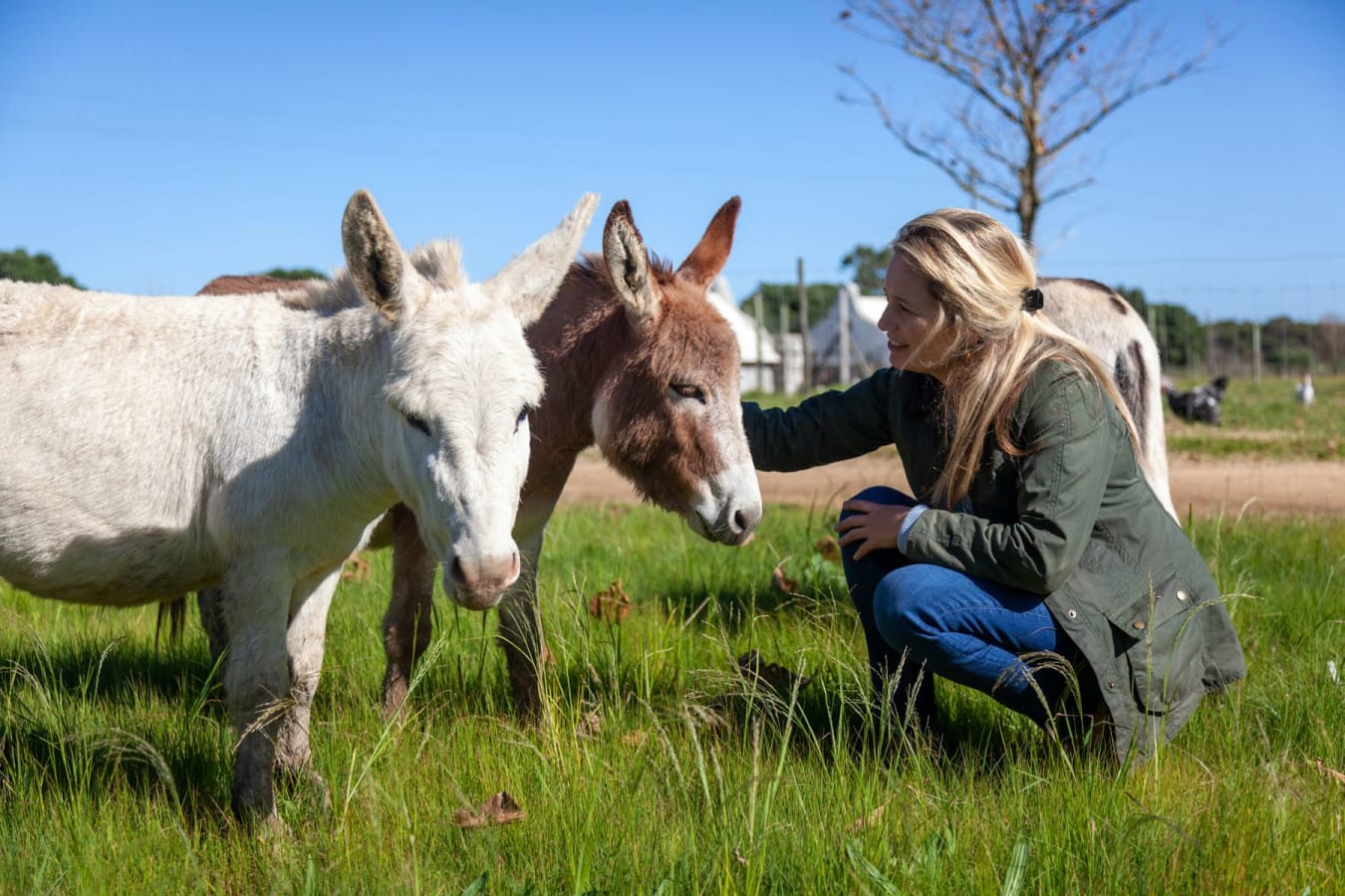 Sensational South Africa