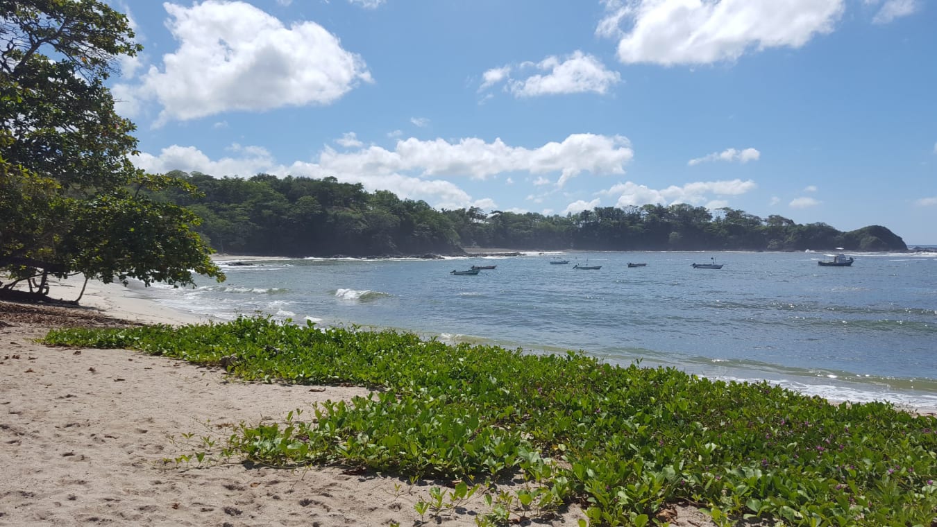 Fishing boats anchored in a calm bay backed by jungle headlands at Santa Teresa on Costa Rica's Nicoya Peninsula
