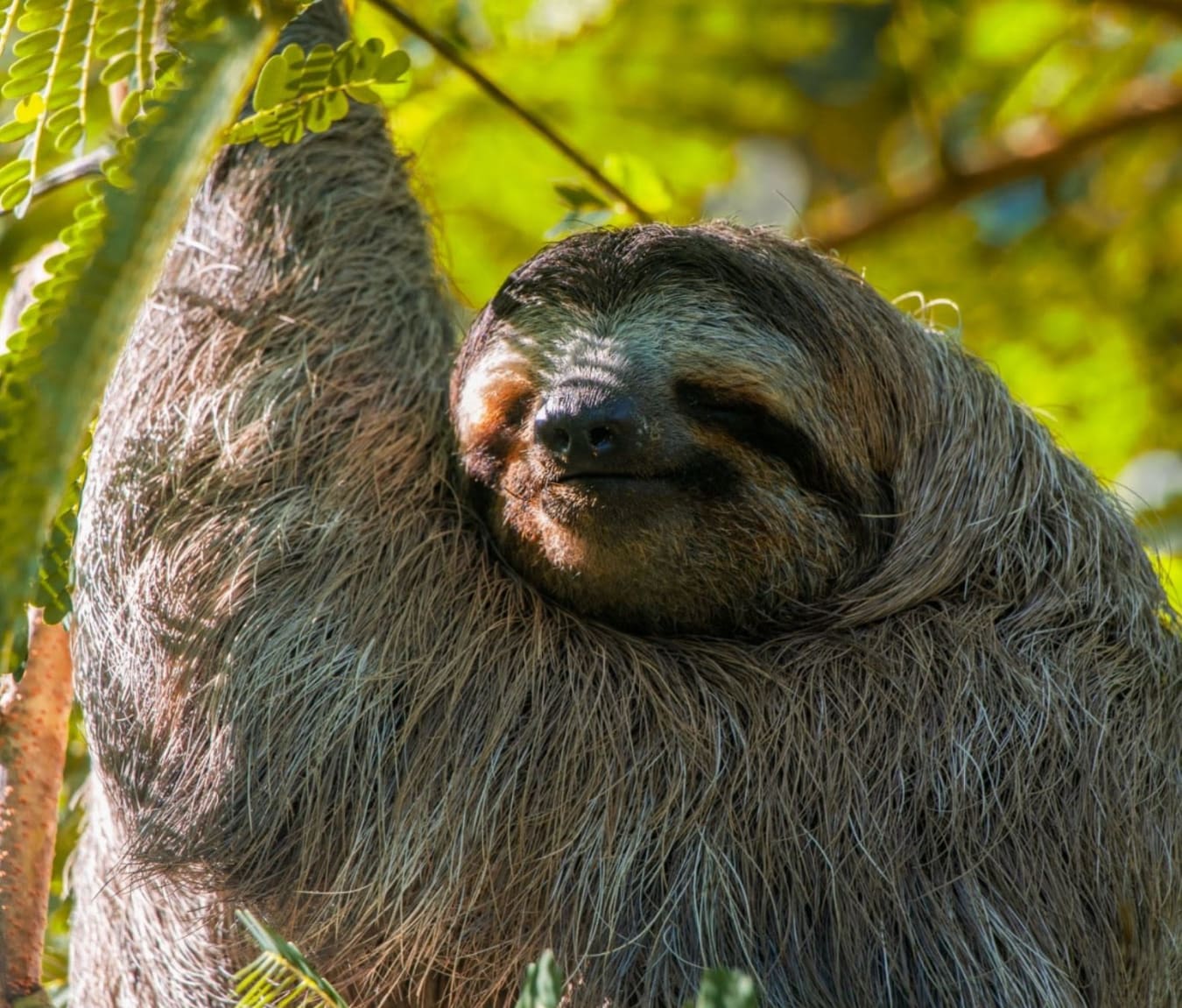 Costa Rica Family Adventure