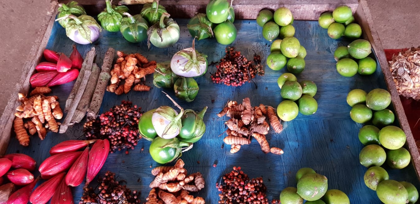 Sao Tome & Principe Explored