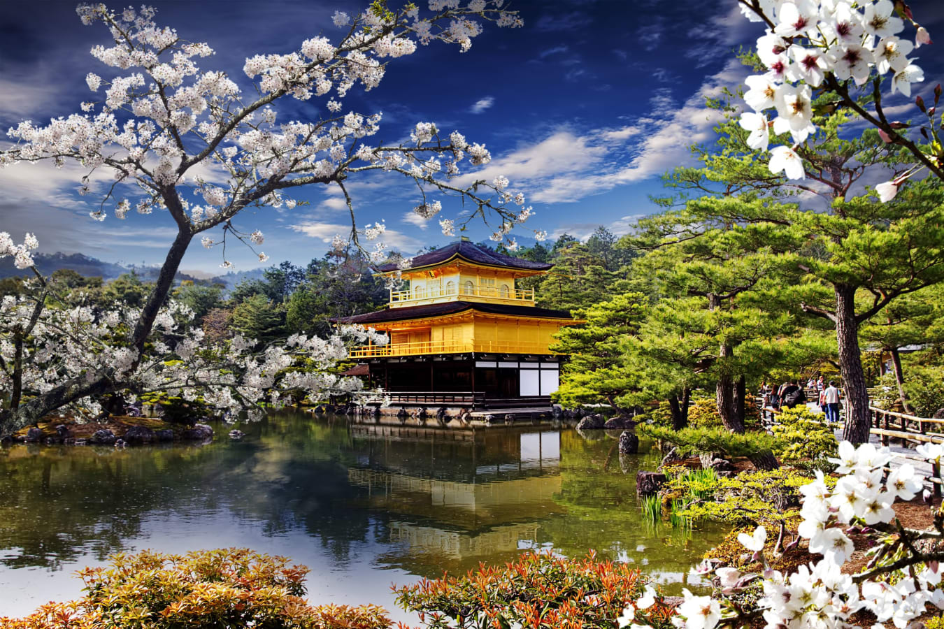 Tokyo tours hero image