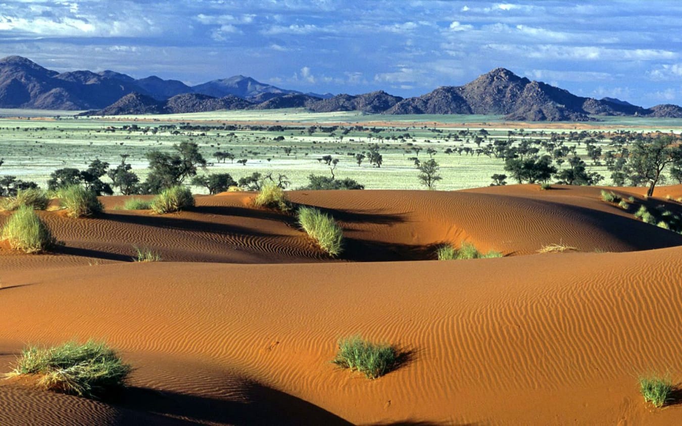 Ultimate Namibia Safari