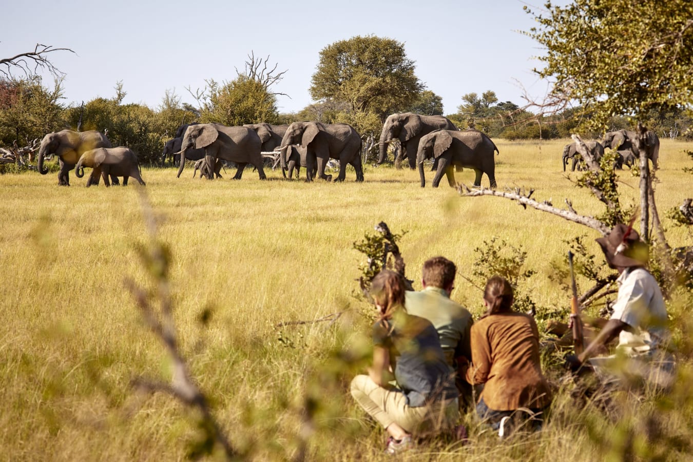 Wild Zimbabwe Eco-Safari