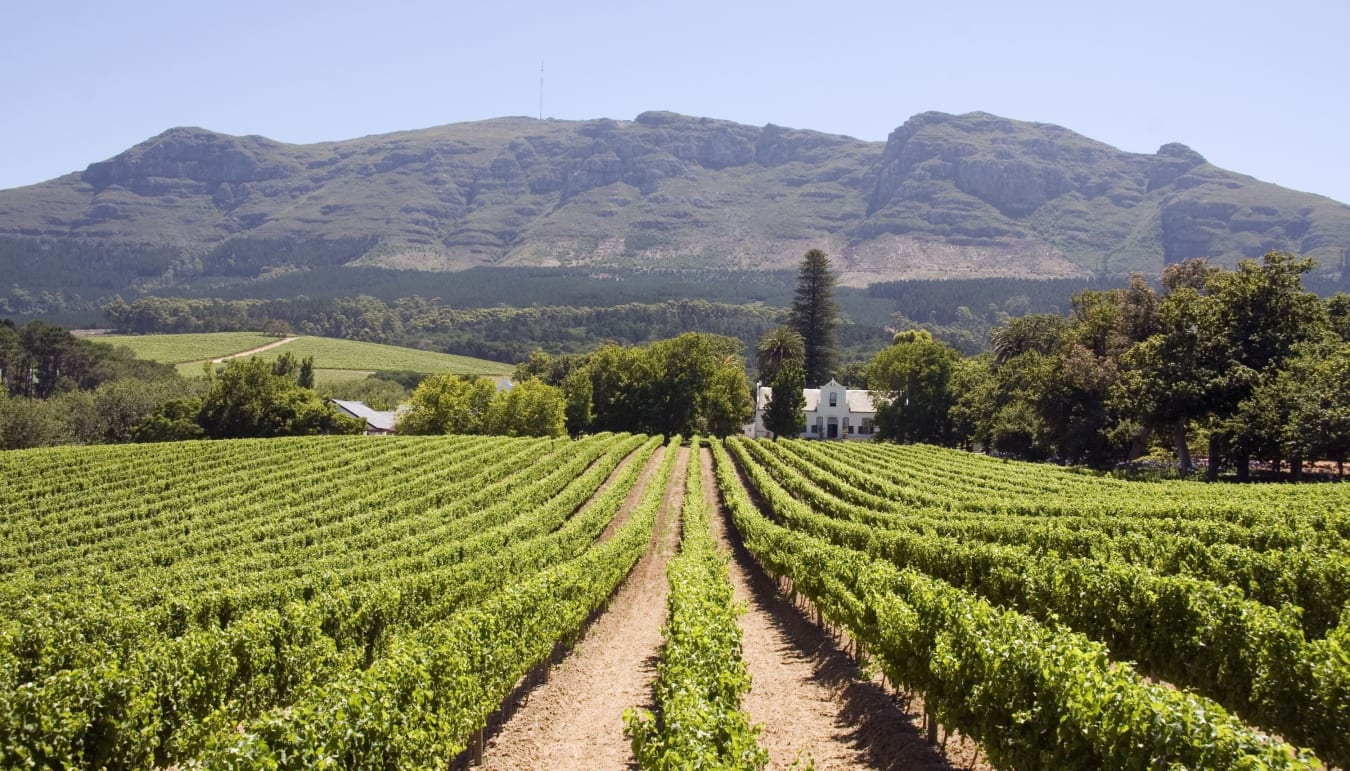 6 Day South Africa Wine Sojourn