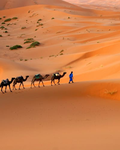 Morocco