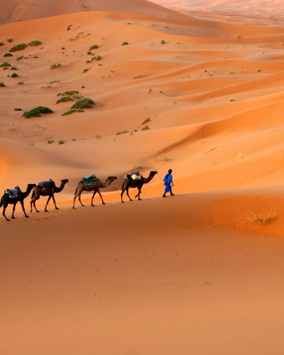 Morocco