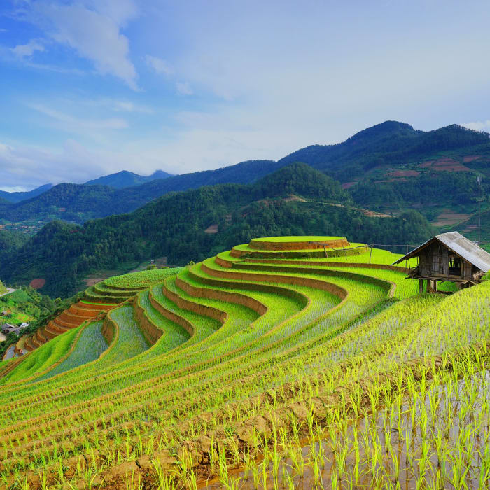 Vietnam