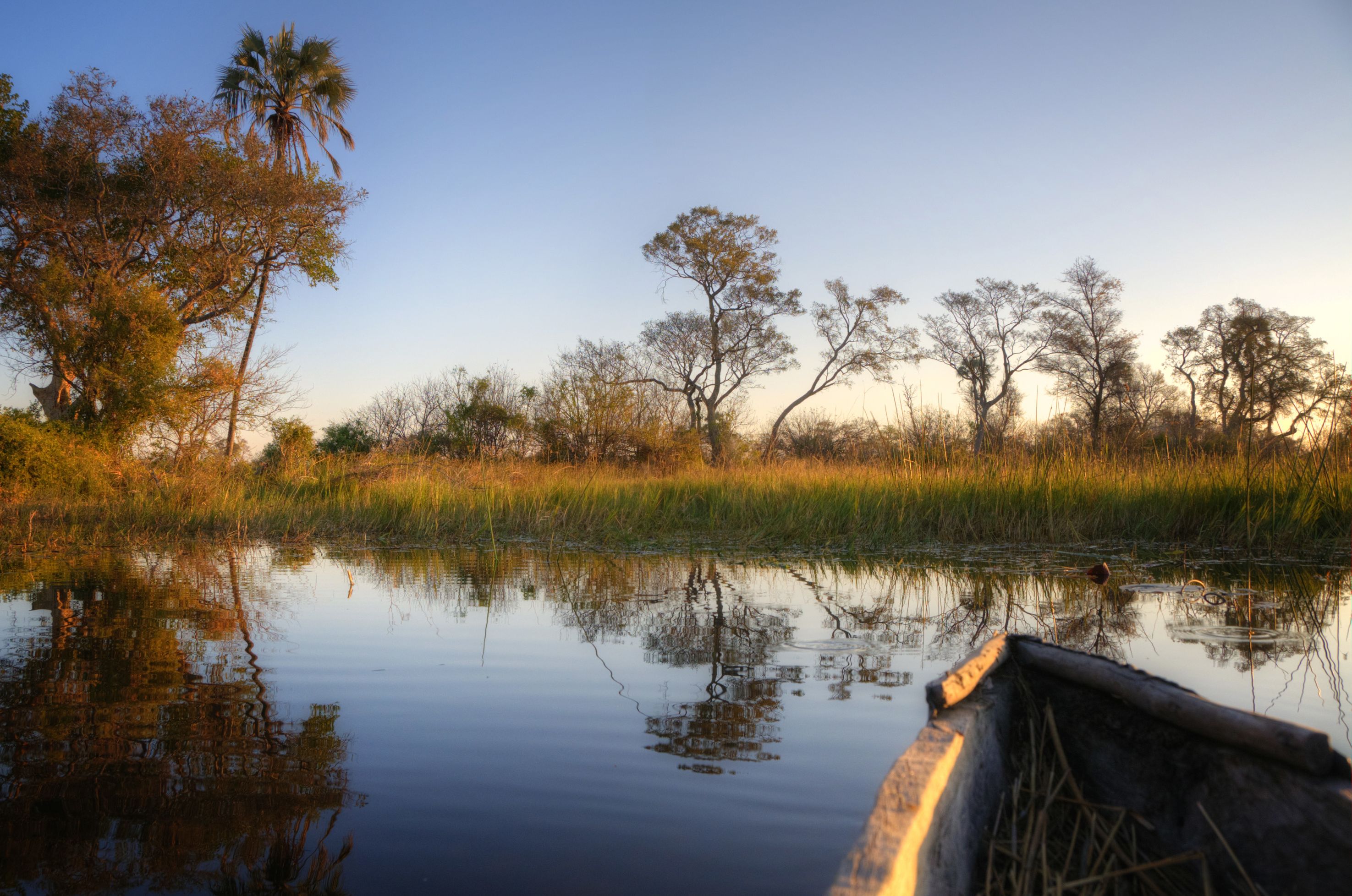 Botswana okovango landscape