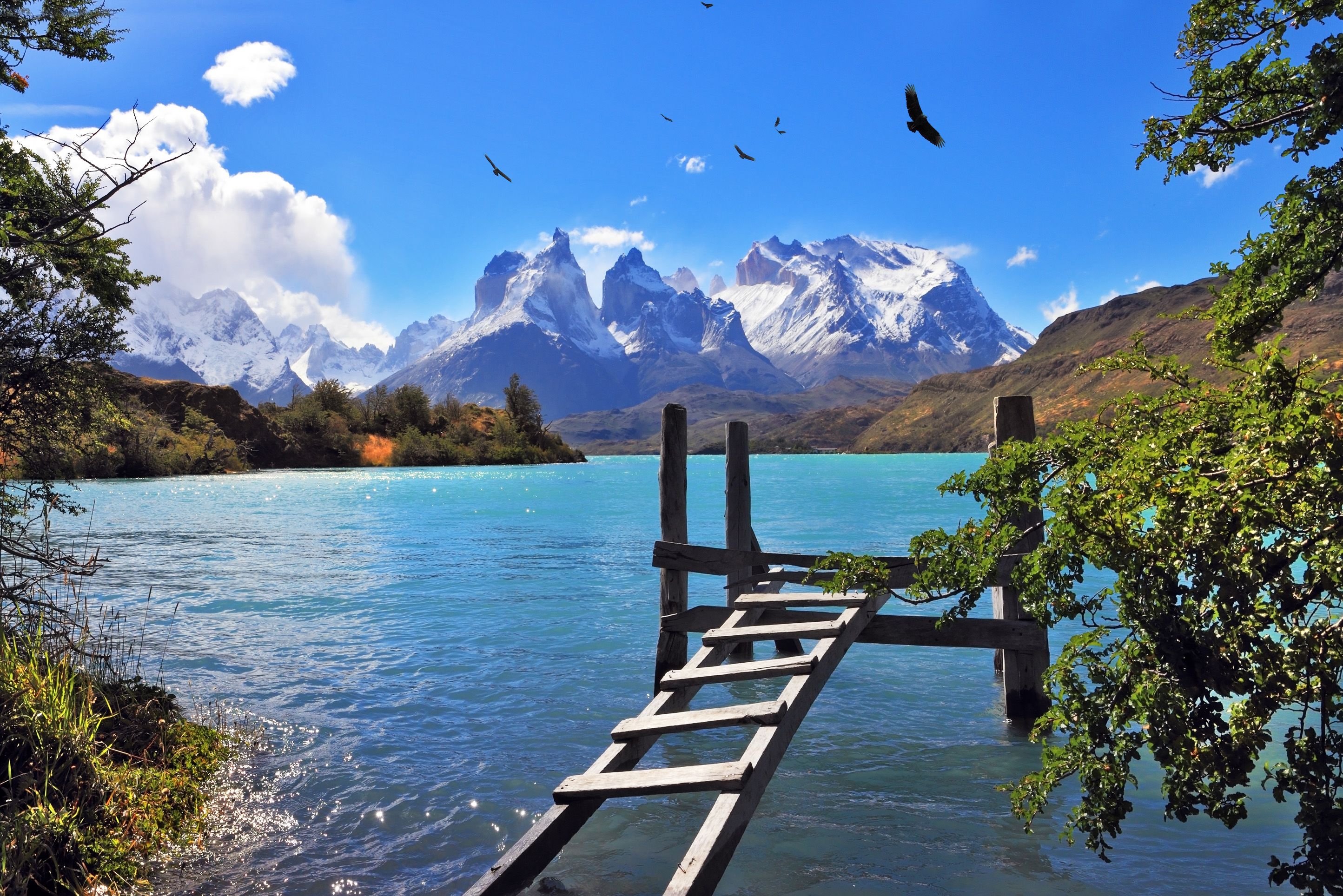 Hikers in Torres del Paine