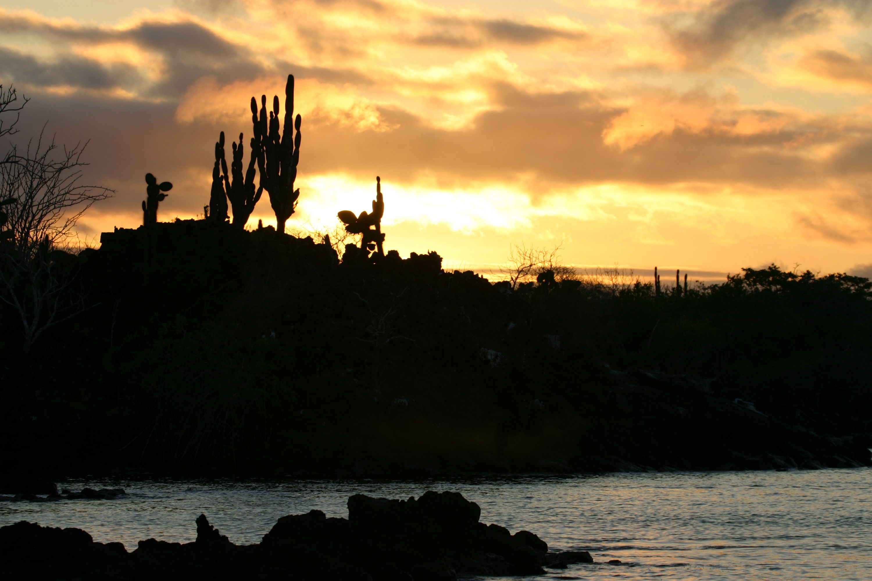 best time to visit galapagos