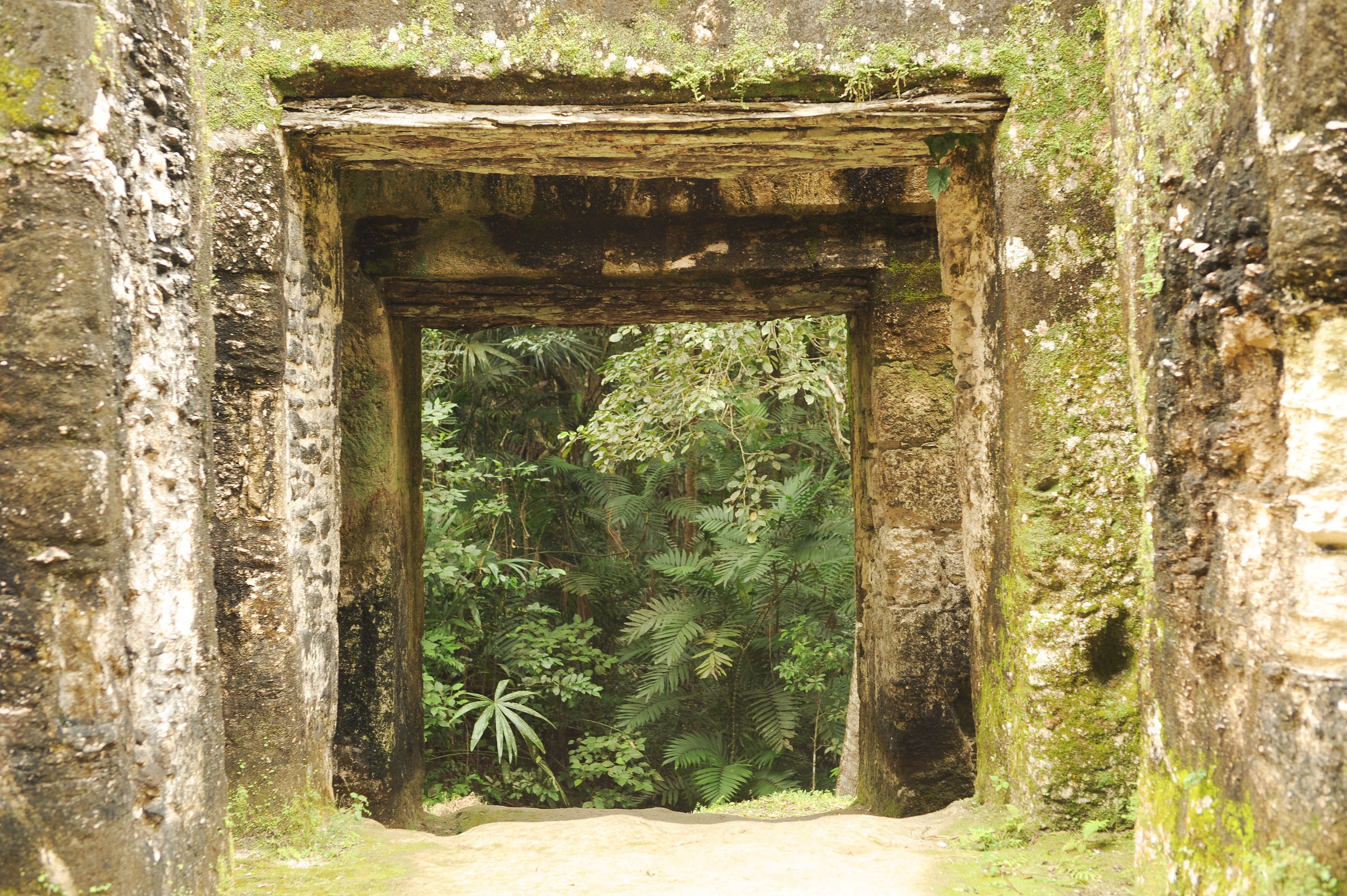 Tikal ruins overview final section placeholder image