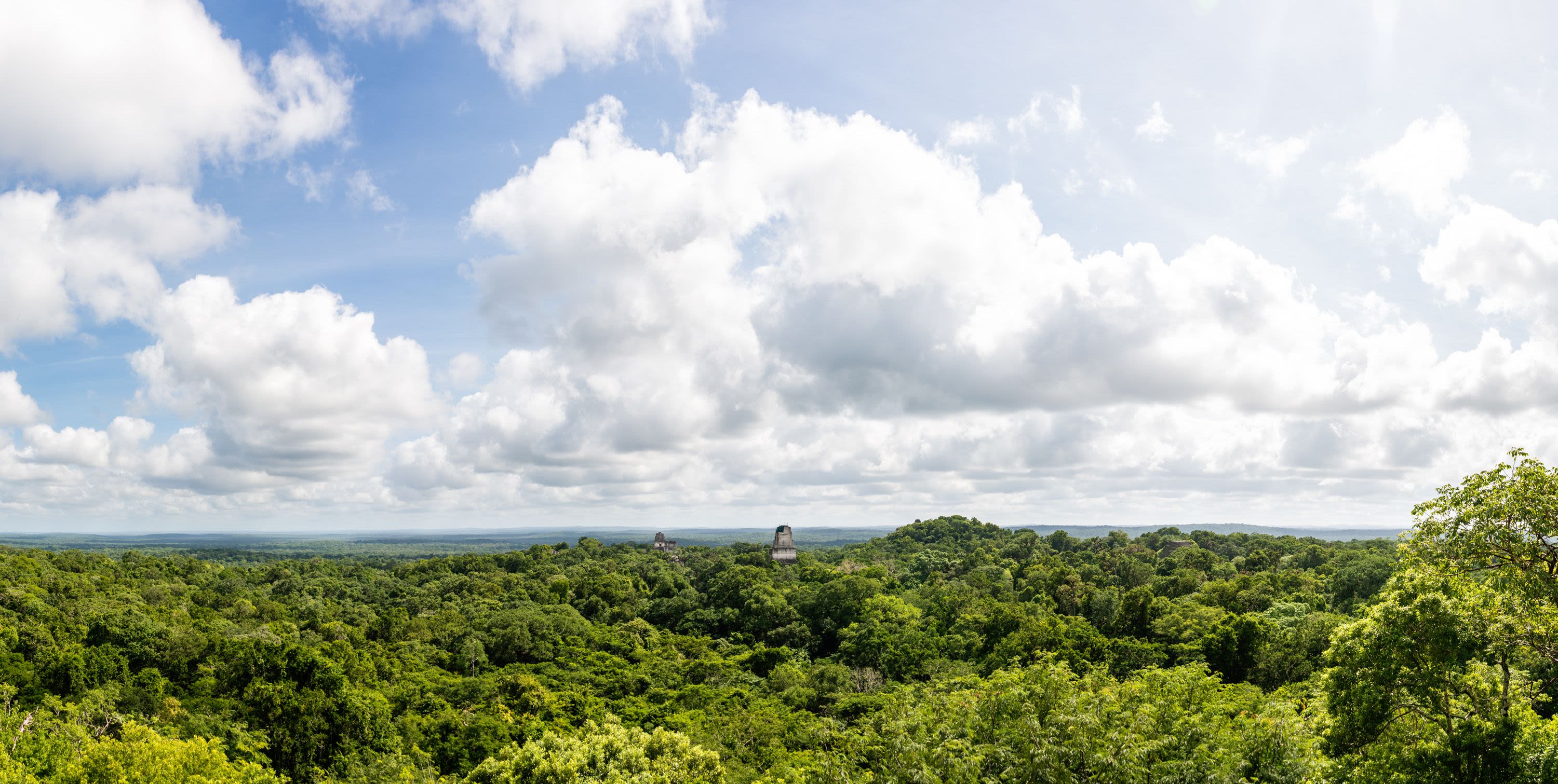 Jungle trails of Tikal placeholder image