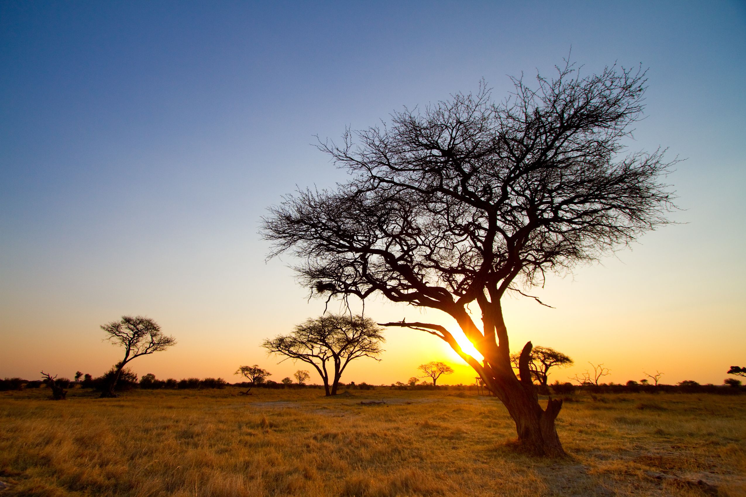 Hwange National Park