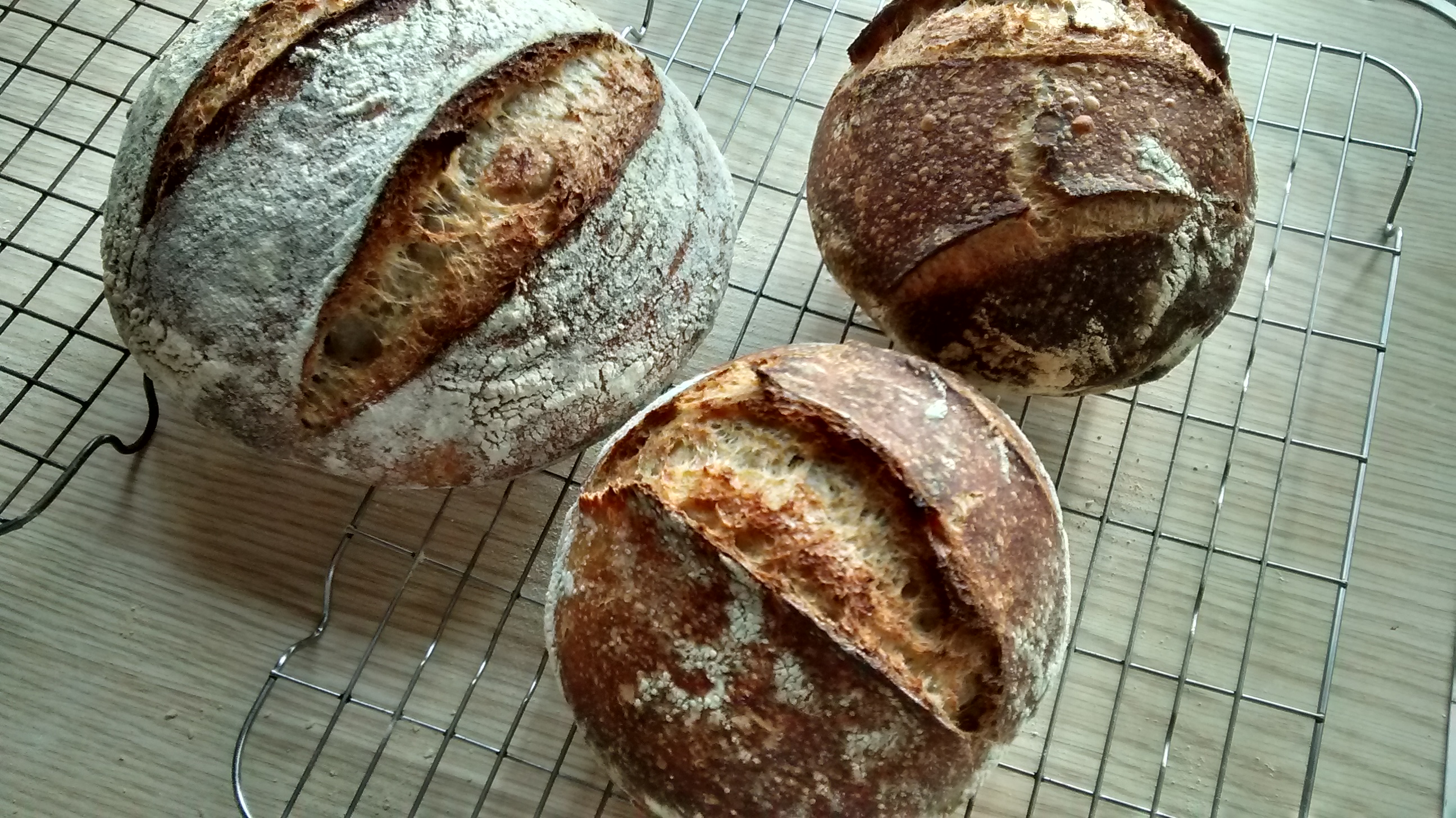 Learn to Bake Bread by Badgerbrook Breads - food in London