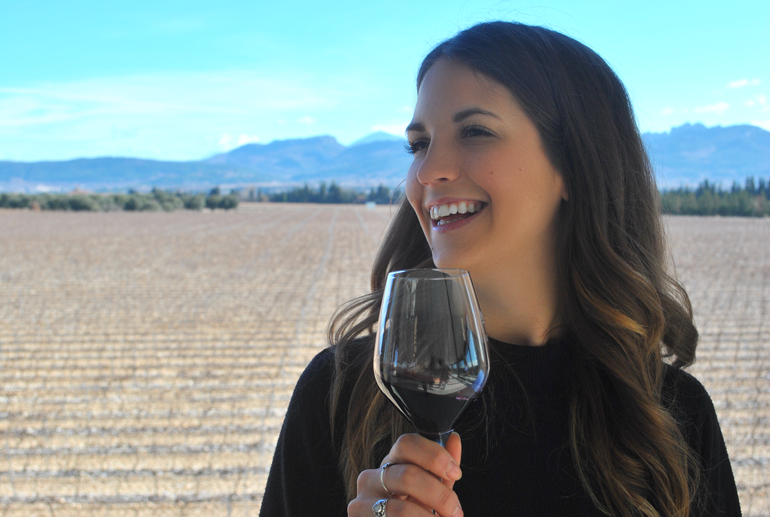 Tapas & Tasting: Learn About Spanish Wines by Anna Spooner - drinks-and-tastings in London