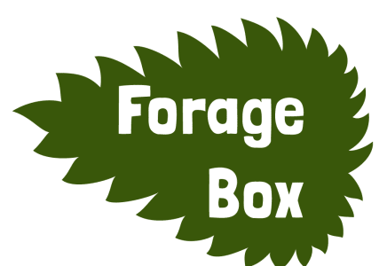Forage Box  classes in London