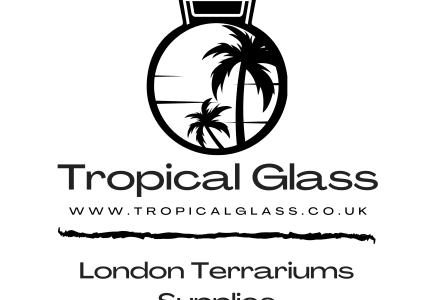 Tropical Glass Ltd  classes in London