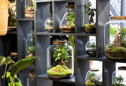 Botanical Boys drinks-and-tastings classes in London