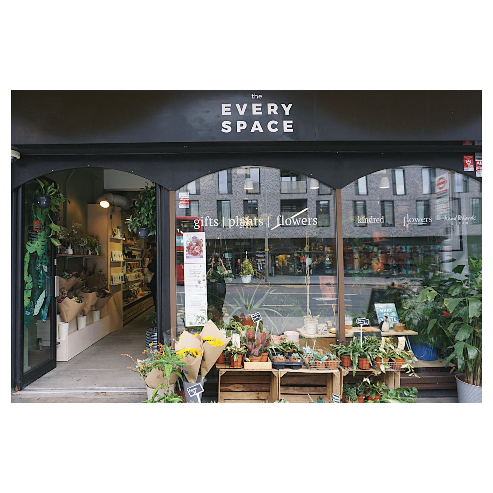 House Plant Happiness Workshop (Jan-March 2020) by The Every Space - crafts in London