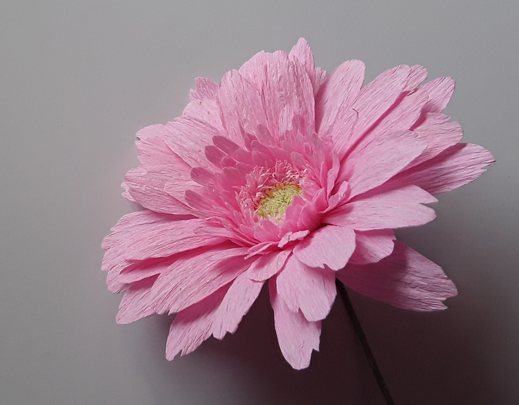 Paper Flower Making for Beginners by Ifeoma Benedict - crafts in London