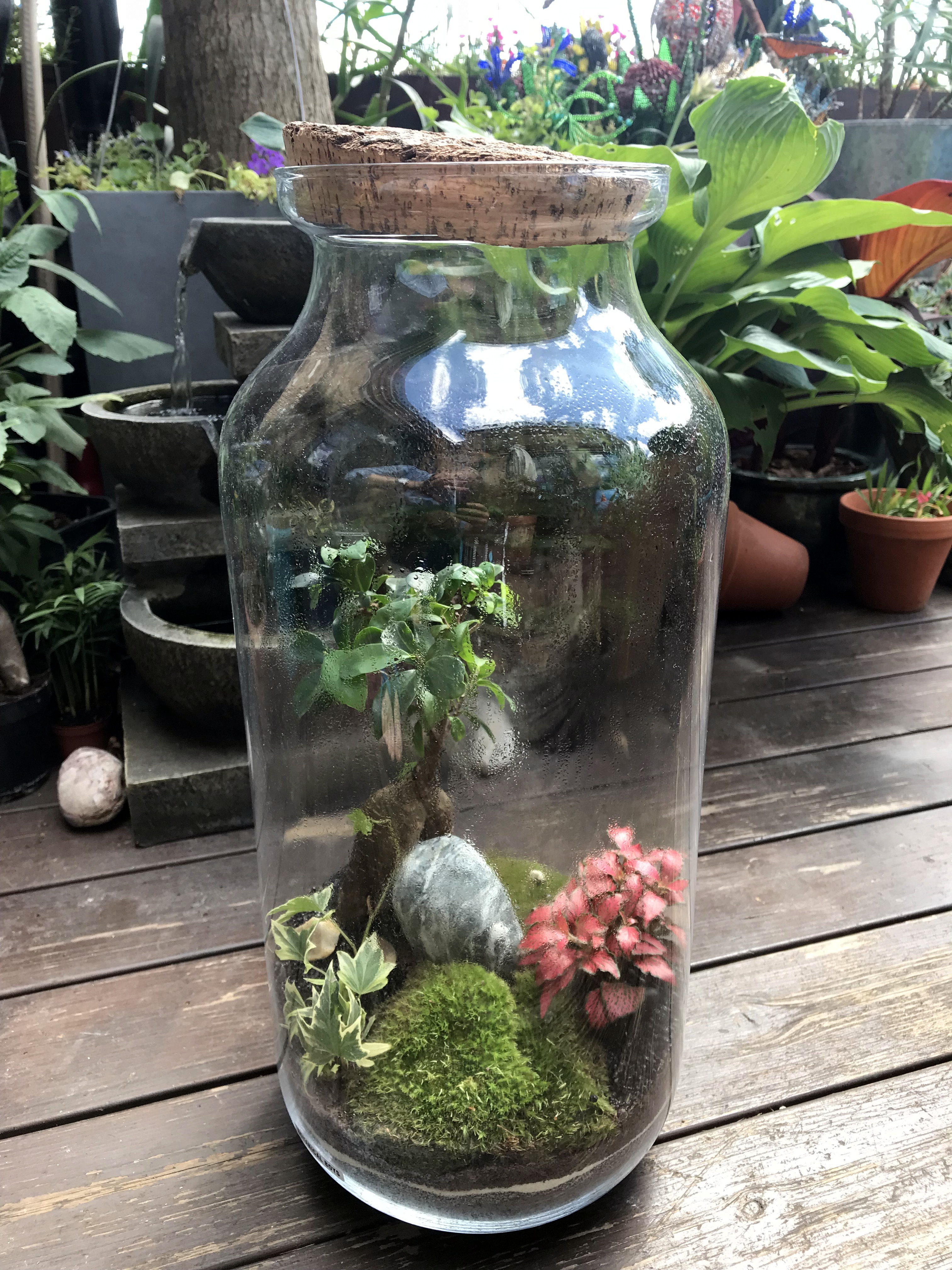 Terrarium Introduction Class - Upgrade Vessels Available by Botanical Boys - crafts in London