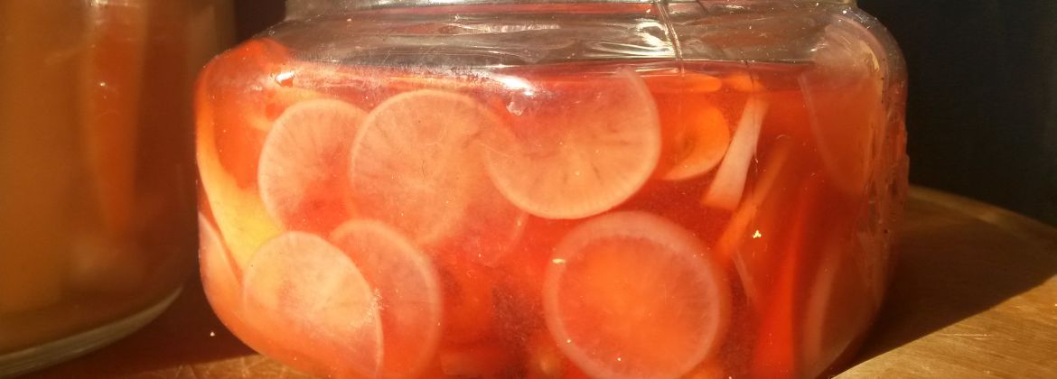 Kombucha - First Brews, Secondary Ferments by The Fermentarium - drinks-and-tastings in London