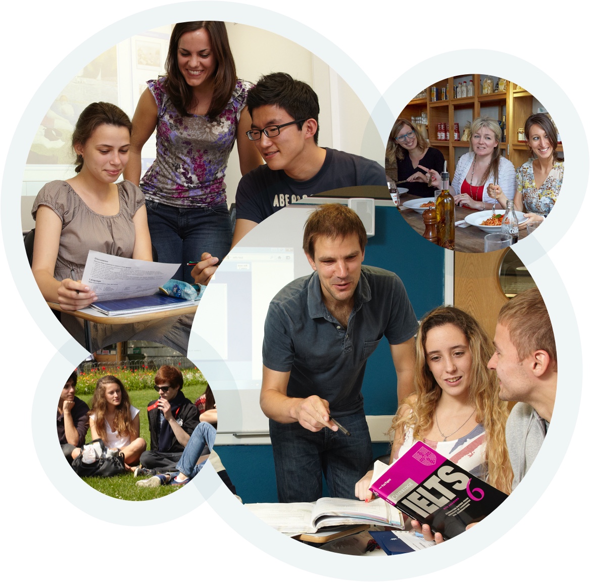 Standard English for Professionals Course by Frances King - languages in London