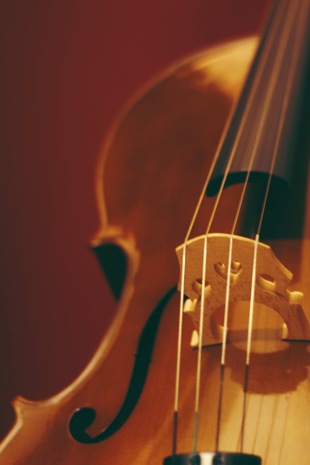 Intermediate Violin Lessons by Jane Gillie - music in London