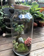 Terrarium Masterclass Eco-System at Obby East Village with Prosecco!! by Botanical Boys - crafts in London