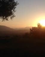 1-on-1 Mindfulness and Mindful Self-Compassion Intro by Go Mindfully - mindfulness-and-wellbeing in London