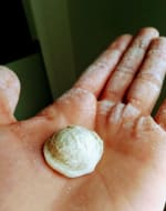 Orecchiette Making Workshop: Fresh Pasta, Puglia-Style! by Le Orecchiette di Nonna Isabella - food in London
